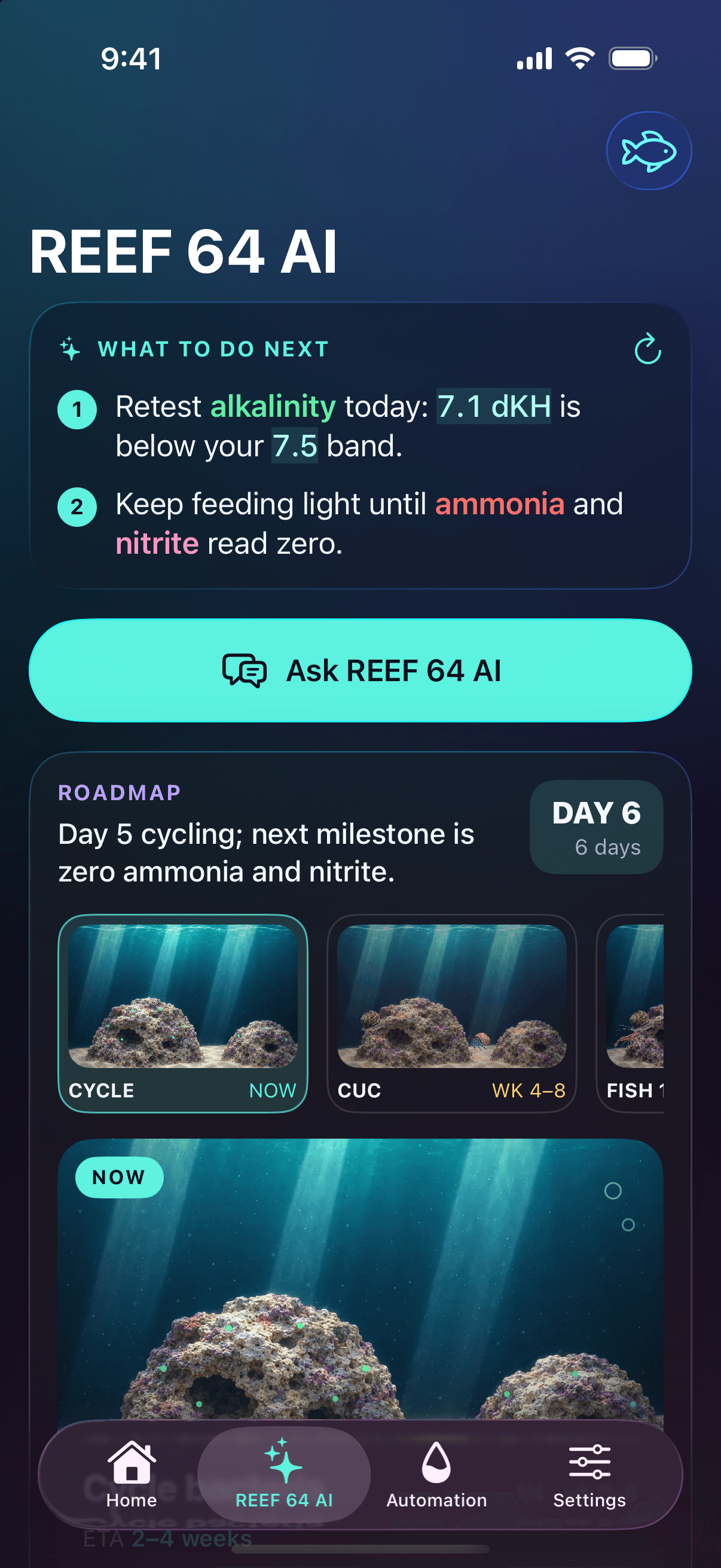 A REEF 64 AI no celular: o que fazer agora neste aquário