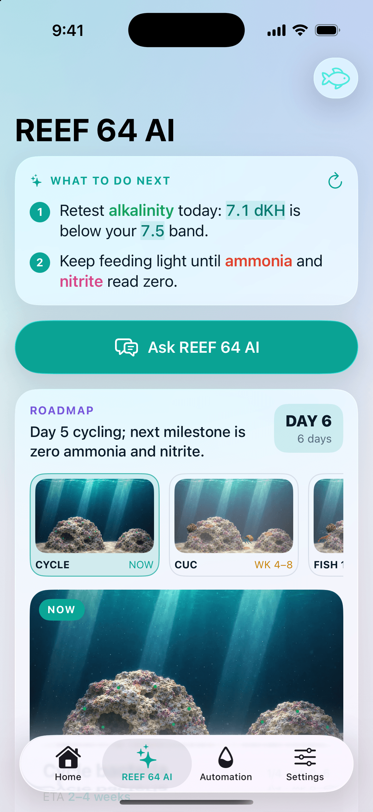 A REEF 64 AI no celular: o que fazer agora neste aquário